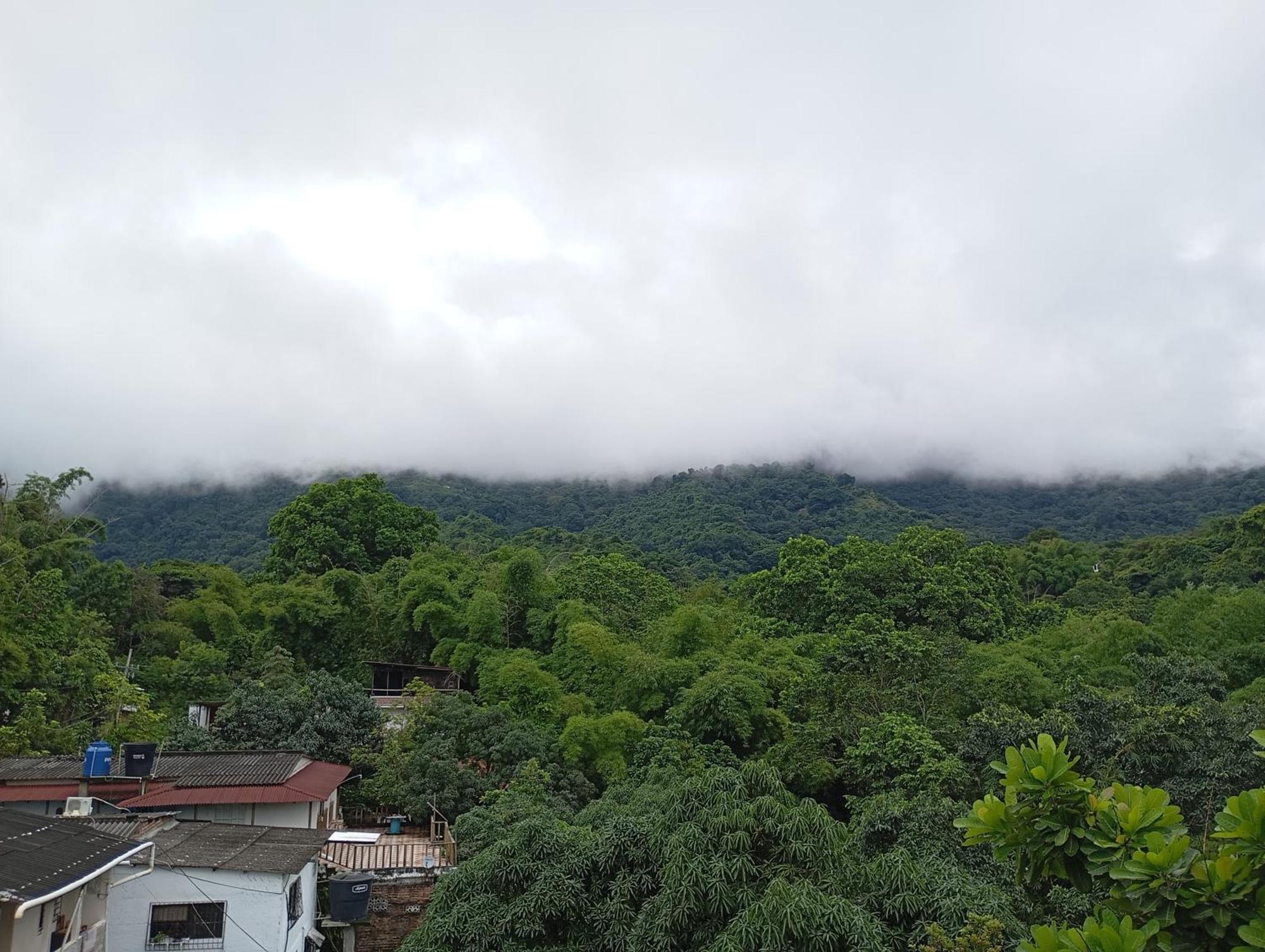Hostal Los Wichos Minca Dış mekan fotoğraf