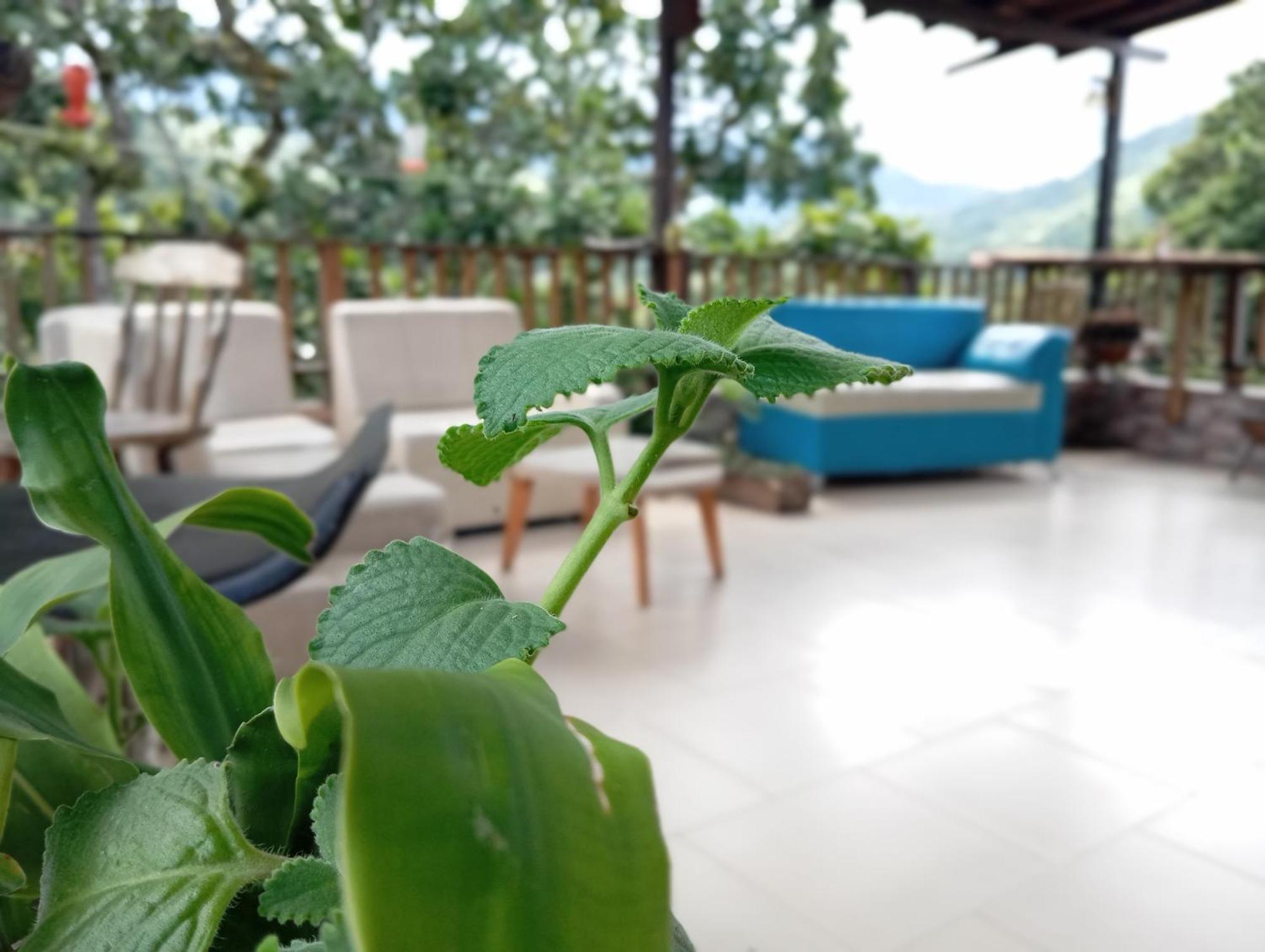Hostal Los Wichos Minca Dış mekan fotoğraf